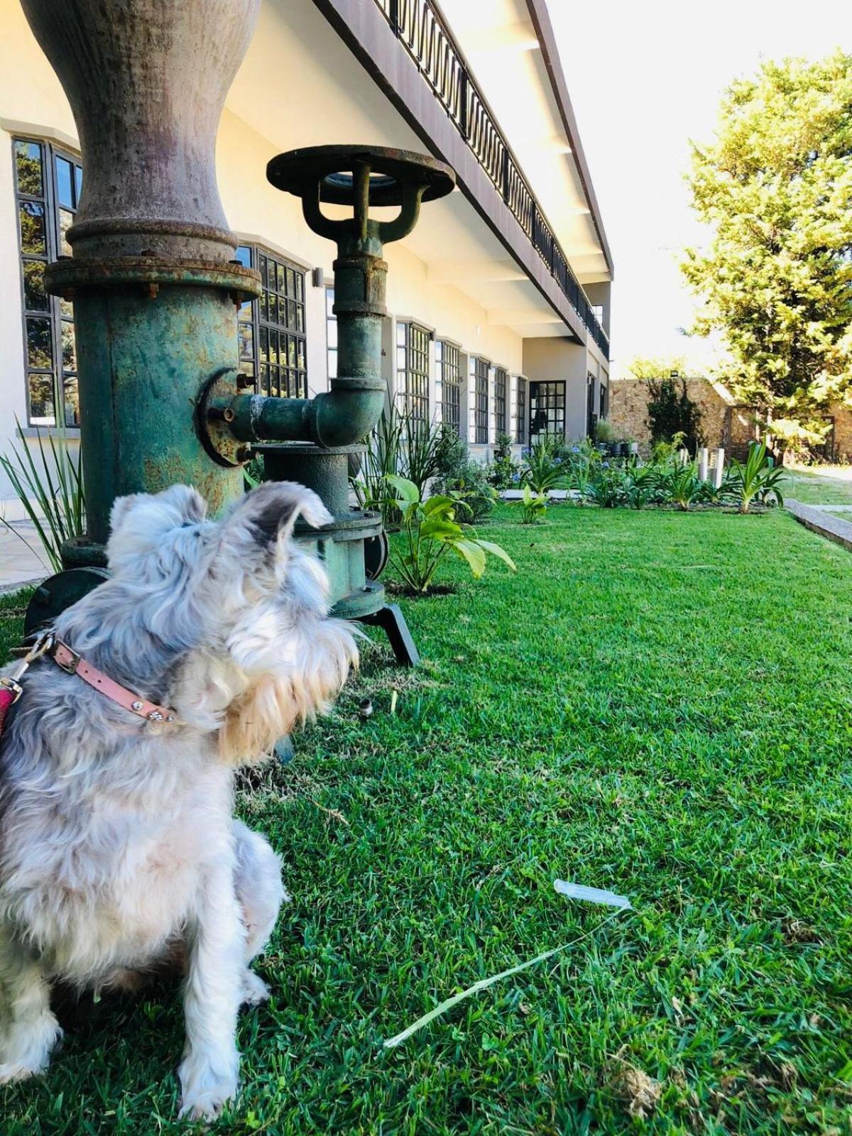Hotel Rocaval San Cristóbal de Las Casas Eksteriør billede